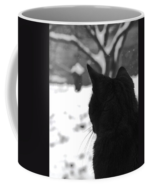 Cats Coffee Mug featuring the photograph Contemplating Winter by Angela Davies