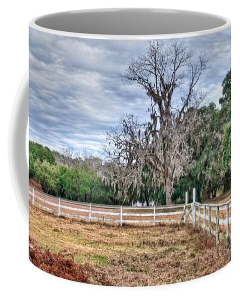 Coosaw Coffee Mug featuring the photograph Coosaw - Cloudy Day by Scott Hansen