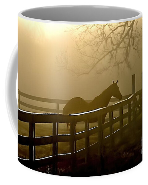 Horse Coffee Mug featuring the photograph Coosaw Early Morning Mist by Scott Hansen