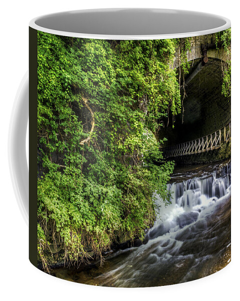Creek Coffee Mug featuring the photograph Corbett's Glen Vines- NY by Tim Buisman