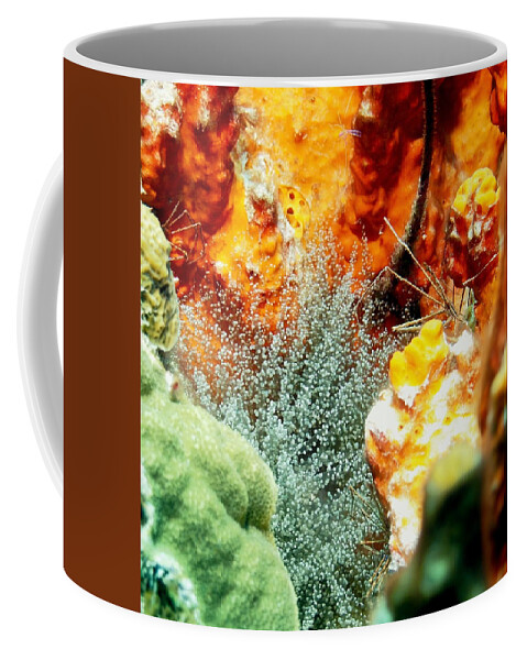 Nature Coffee Mug featuring the photograph Corkscrew Anemone Grove by Amy McDaniel