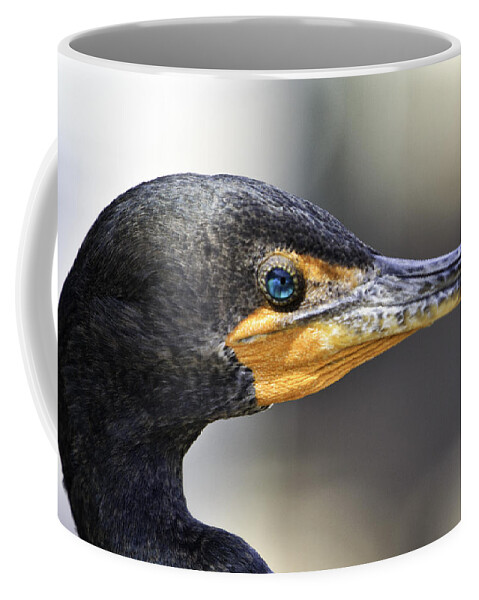 Bird Coffee Mug featuring the photograph Cormorant by Fran Gallogly