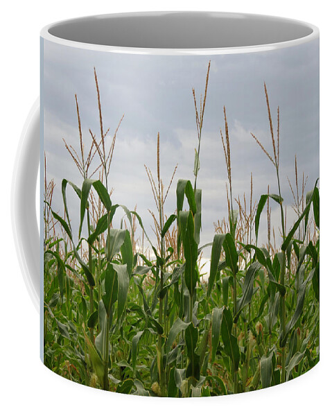 Corn Coffee Mug featuring the photograph Corn Field by Laurel Powell
