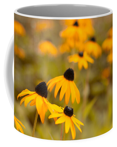 White Coffee Mug featuring the photograph Country Charm by Miguel Winterpacht