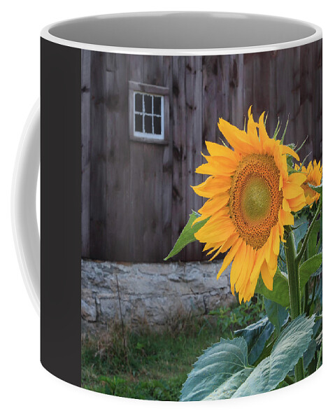 Square Coffee Mug featuring the photograph Country Flower Square by Bill Wakeley
