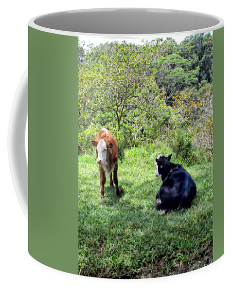 Cattle Coffee Mug featuring the photograph Cow 4 by Dawn Eshelman