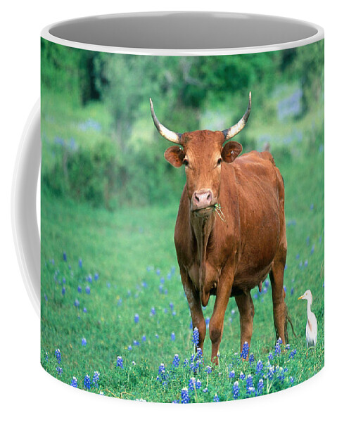 Mixed Breed Cow Coffee Mug featuring the photograph Cow And Cattle Egret by Alan and Sandy Carey