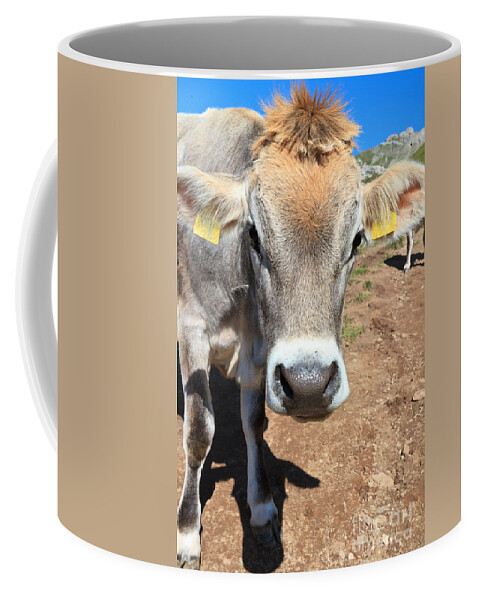 Agriculture Coffee Mug featuring the photograph Cow On Alpine Pasture by Antonio Scarpi
