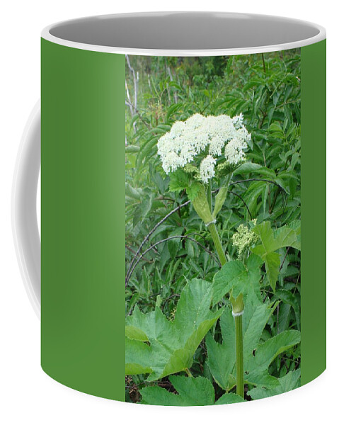 Wild Flower Coffee Mug featuring the photograph Cow Parsnip by Susan Woodward