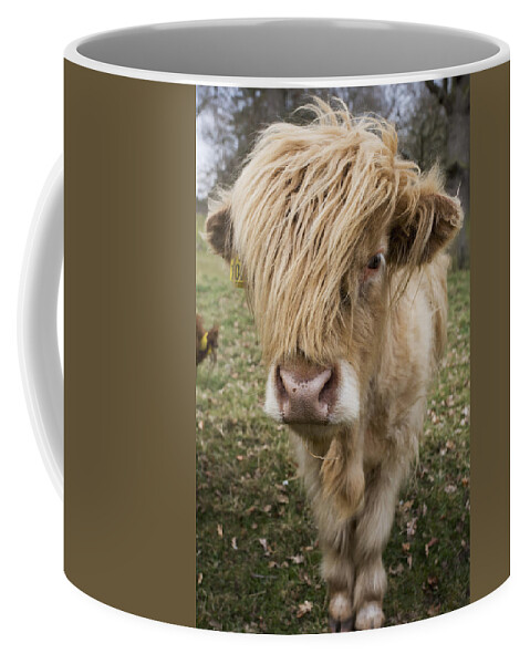 Cow With Long Hair Over Its Face Coffee Mug by John Short - Pixels