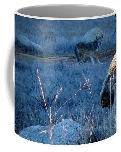 Coyote Wild Coffee Mug featuring the photograph Coyote Wild by Susan Garren