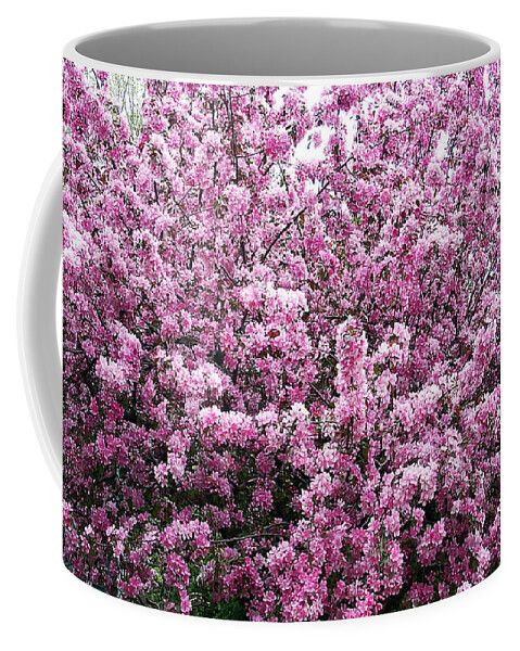 Crab Apple Tree Coffee Mug featuring the photograph Crab Apple Tree by Aimee L Maher ALM GALLERY