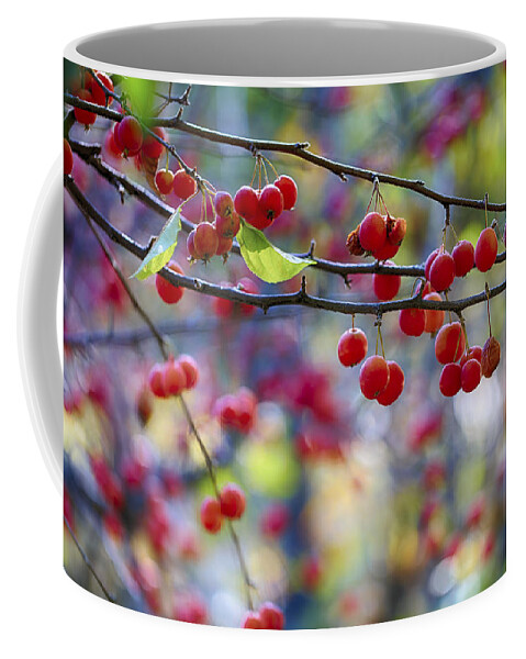 Crab Apple Coffee Mug featuring the photograph Crab Apples 1 by Scott Campbell