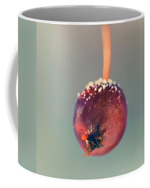 Canada Coffee Mug featuring the photograph Crabapple by Jakub Sisak