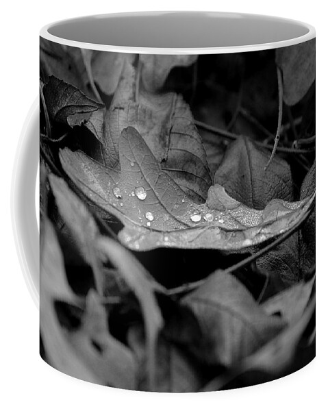 Drops Coffee Mug featuring the photograph Cradle by Viviana Nadowski