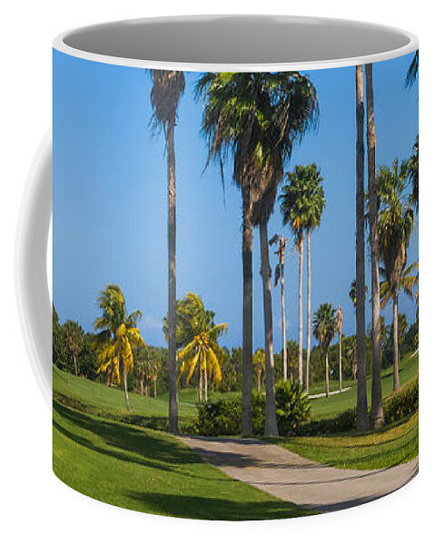 Biscayne Coffee Mug featuring the photograph Crandon Park Palms by Ed Gleichman
