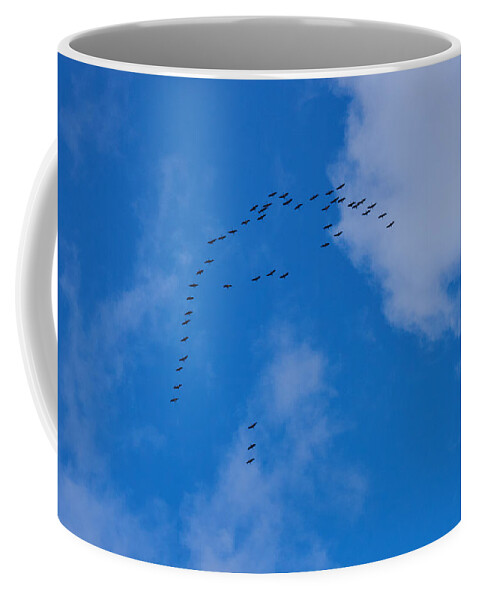 Finland Coffee Mug featuring the photograph Cranes by Jouko Lehto