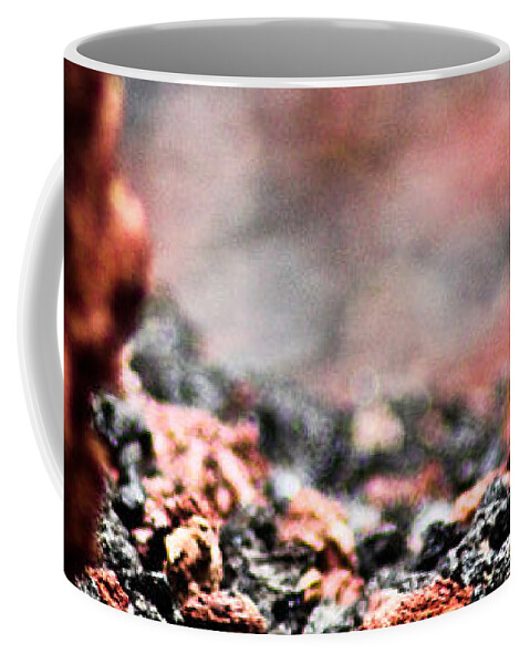 Craters Of The Moon Coffee Mug featuring the photograph Craters of the Moon 1 by Joel Loftus