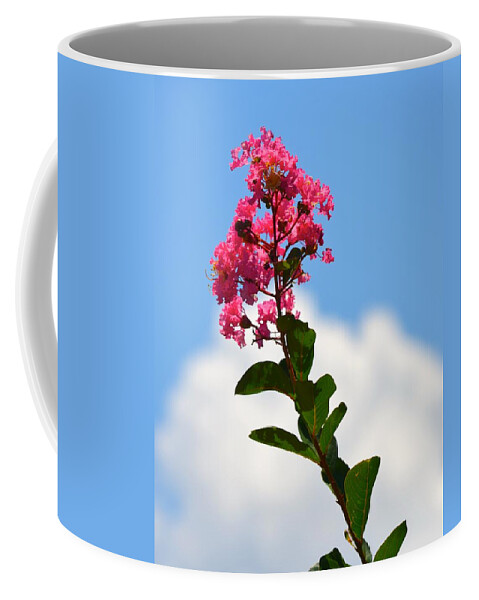 Crepe Myrtle Coffee Mug featuring the photograph Crepe Myrtle against the Sky by Richard Bryce and Family