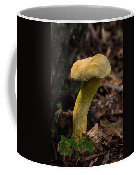 Fungi Coffee Mug featuring the photograph Crooked Stype Boletaceae by Douglas Barnett