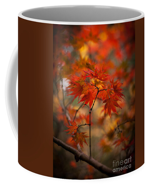Fall Coffee Mug featuring the photograph Crown of Fire by Mike Reid