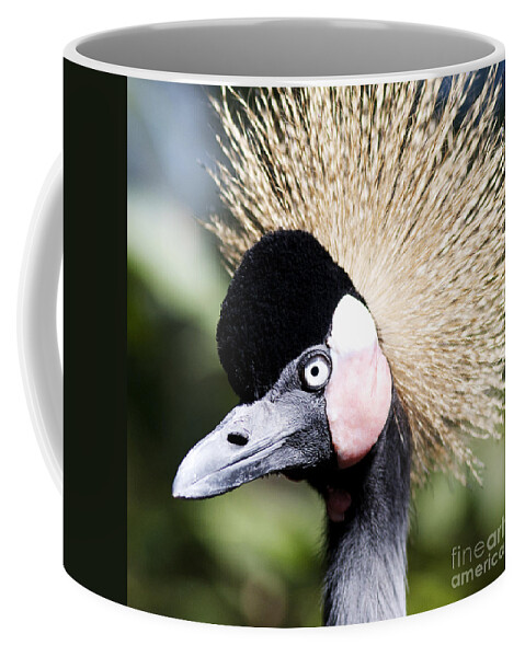 Heron Coffee Mug featuring the photograph Crowned Heron 2 by Pam Holdsworth