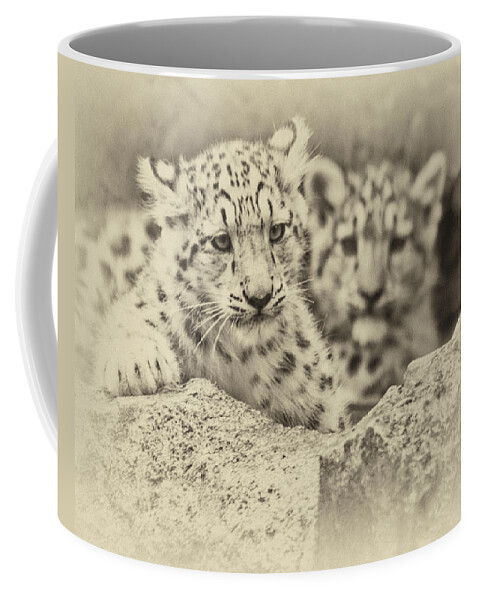 Marwell Coffee Mug featuring the photograph Cubs at Play by Chris Boulton