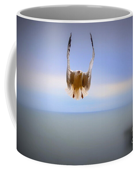 Gull Coffee Mug featuring the photograph Curiosity by Karin Everhart