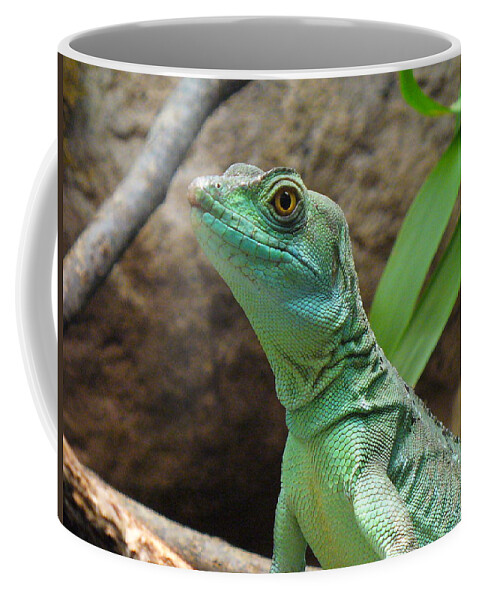 Lizard Coffee Mug featuring the photograph Curious Gaze by Lingfai Leung