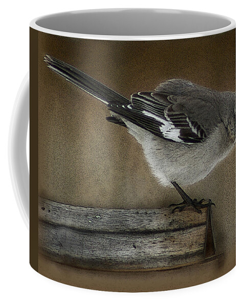 Mockingbird Coffee Mug featuring the photograph Curious Mockingbird by TnBackroadsPhotos 