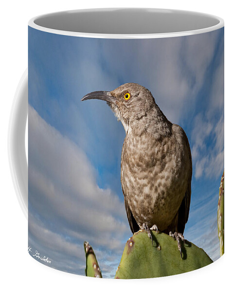 Animal Coffee Mug featuring the photograph Curve-Billed Thrasher on a Prickly Pear Cactus by Jeff Goulden