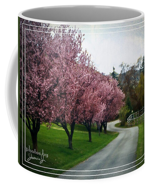 Lane Coffee Mug featuring the photograph Curve in the Road by Jamie Johnson