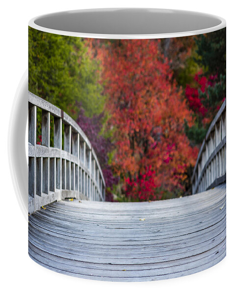 Japanese Garden Coffee Mug featuring the photograph Cypress Bridge by Sebastian Musial