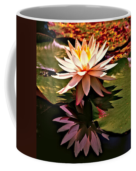 Cypress Gardens Coffee Mug featuring the photograph Cypress Garden Water Lily by Bill Barber