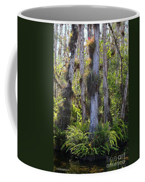 Cypress Trees Coffee Mug featuring the photograph Cypress by Veronica Batterson
