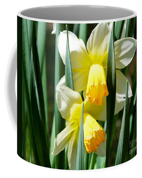 Artoffoxvox Coffee Mug featuring the photograph Daffodil Hug by Kristen Fox