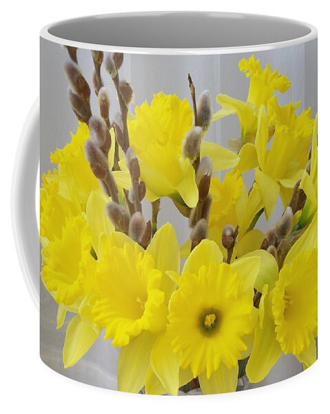 Plant Coffee Mug featuring the photograph Daffodils and Pussy Willows by Sharon Duguay