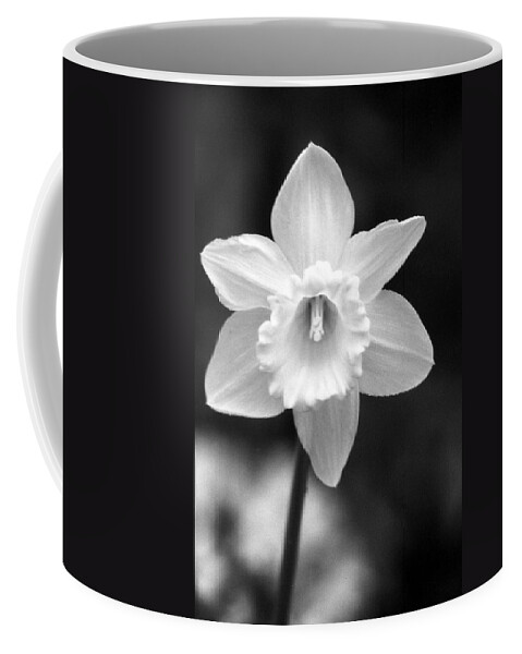 Daffodil Coffee Mug featuring the photograph Daffodils - Infrared 10 by Pamela Critchlow
