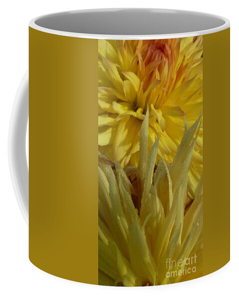 Dahlia Coffee Mug featuring the photograph Dahlia Dew Yellow by Susan Garren