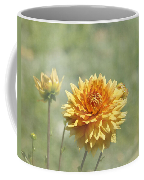 Orange Dahlia Coffee Mug featuring the photograph Dahlia Flowers by Kim Hojnacki