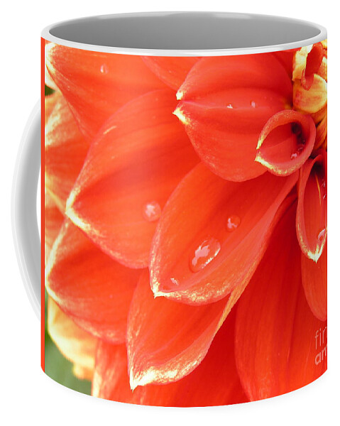 Dahlia Coffee Mug featuring the photograph Dahlia Heart by Spikey Mouse Photography