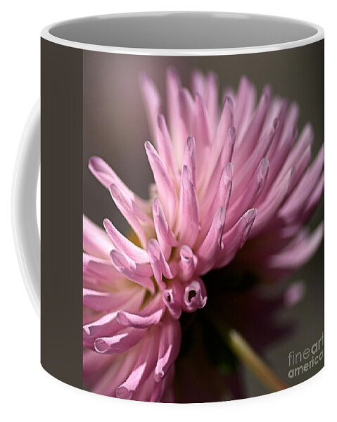 Dahlia Coffee Mug featuring the photograph Dahlia by Joy Watson
