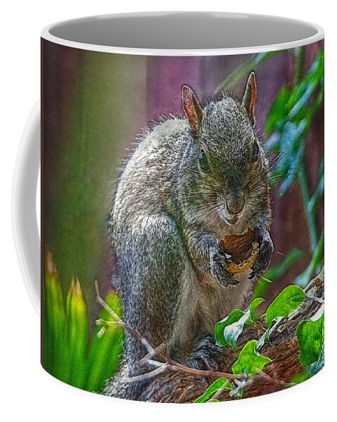 Sqirrel Coffee Mug featuring the photograph Daily Visitor by Hanny Heim
