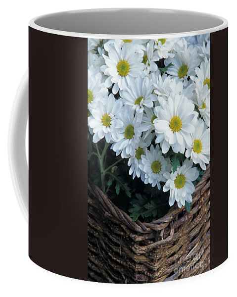 Daisy Coffee Mug featuring the photograph Daisies in a Basket by John Harmon