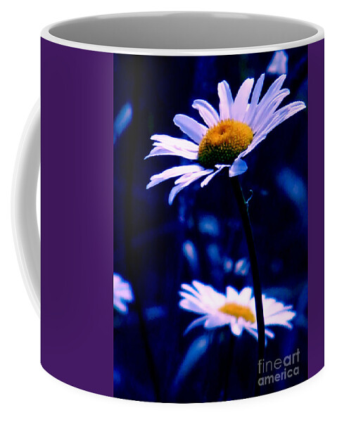 Nature Coffee Mug featuring the photograph Daisies In The Blue Realm by Rory Siegel