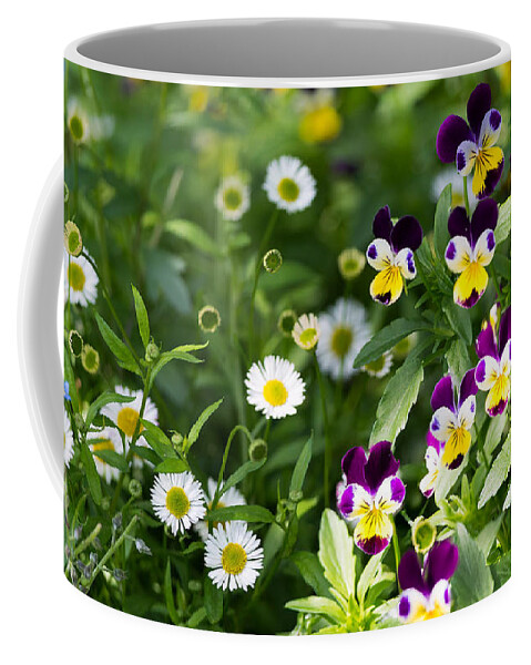 Flower Coffee Mug featuring the photograph Daisy and Pansy Mix by Matt Malloy
