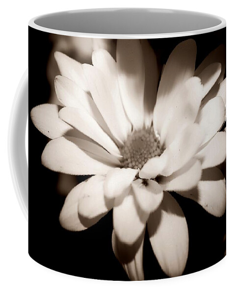 Flower Coffee Mug featuring the photograph Daisy by Debra Forand