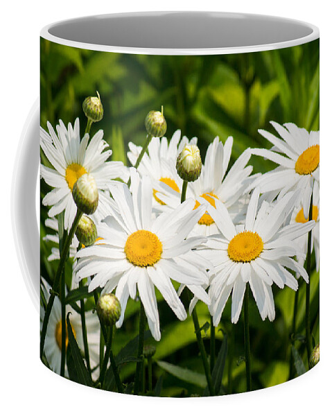 White Coffee Mug featuring the photograph Daisy Delight by Bill Pevlor