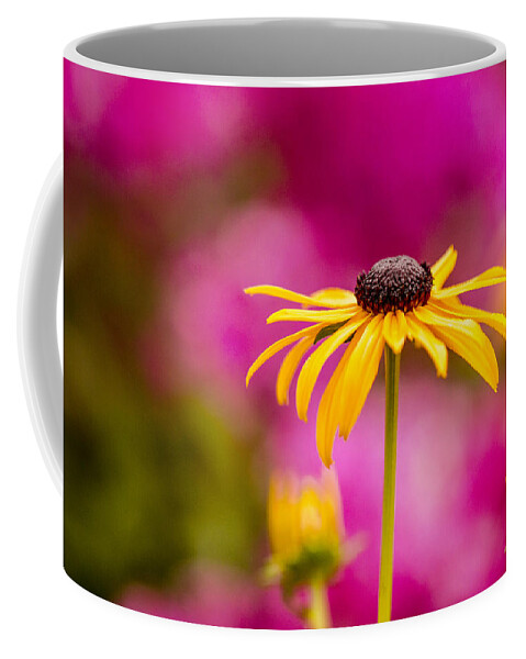 Aroma Coffee Mug featuring the photograph Daisy in the Pink by Teri Virbickis