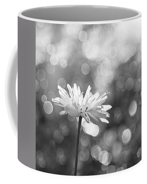 Rain Coffee Mug featuring the photograph Daisy Rain by Theresa Tahara